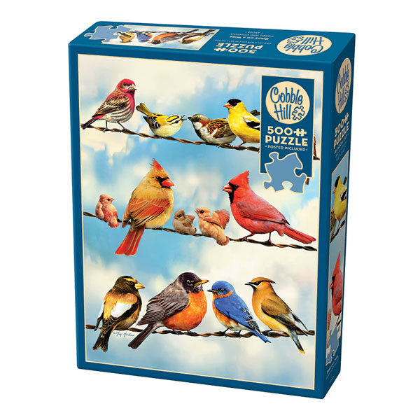 Birds on a Wire: 500pc