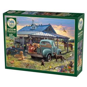 Trading Post: 1000pc